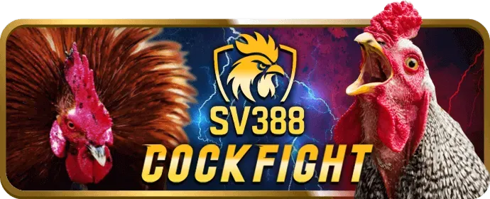 Nền tảng uy tín 39bet12